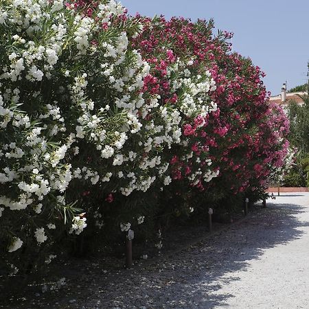 Vacanceole - Residence Las Motas Alénya Dış mekan fotoğraf
